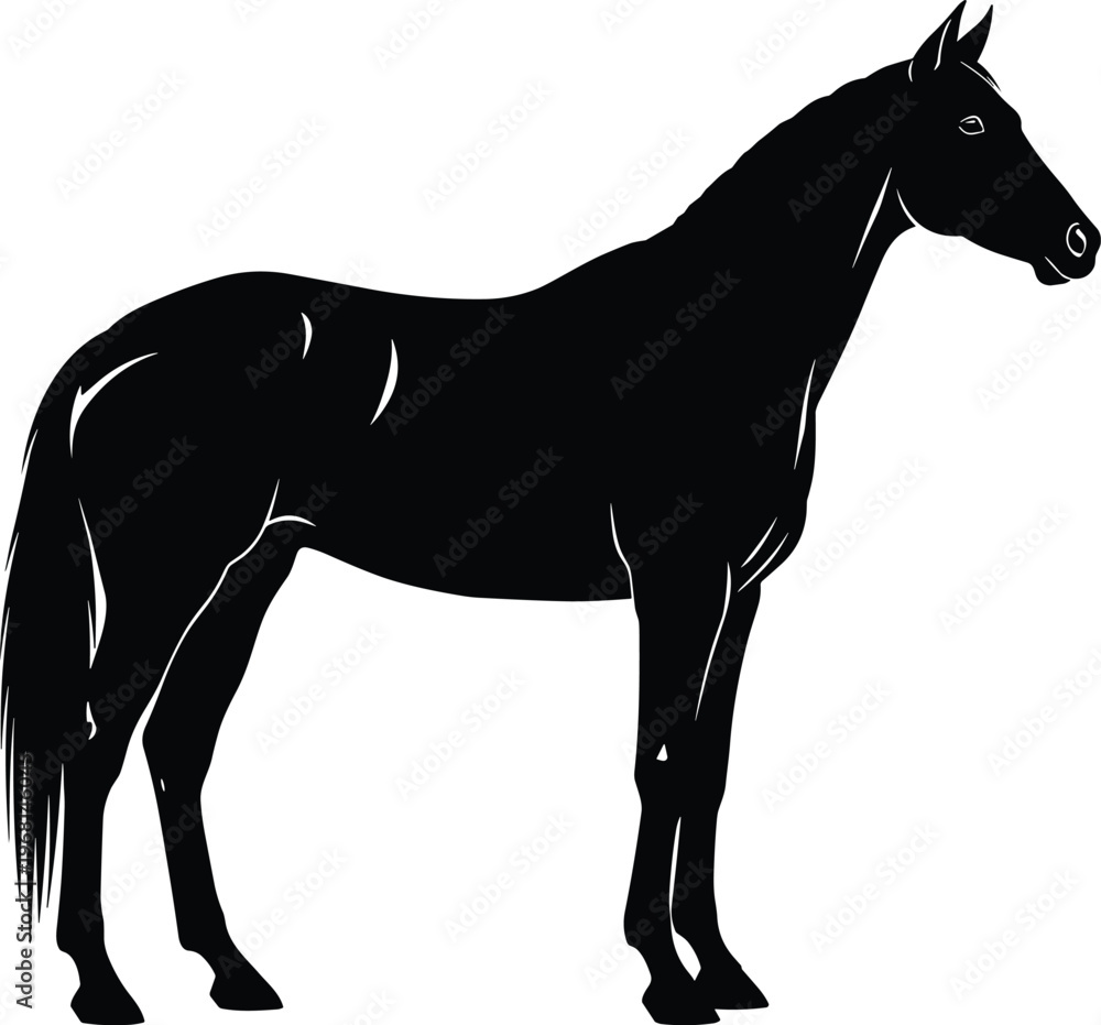Obraz premium Elegant black horse silhouette standing in profile on white background, minimalist animal vector illustration for design and decor