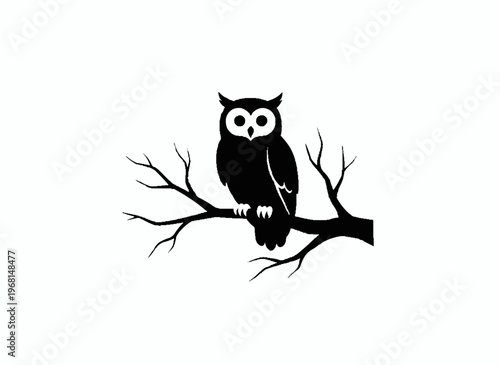 Owl Silhouette: A stark silhouette of a wise owl perches confidently upon a bare tree branch, its piercing gaze holding a sense of mystery.