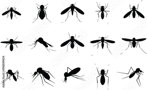 Mosquito Silhouette Icon Collection Set