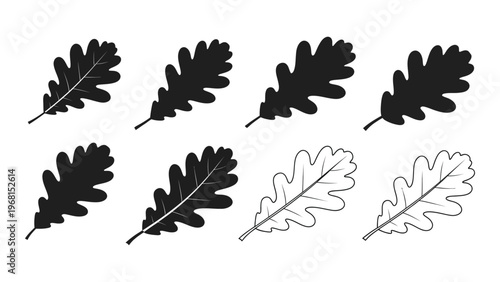 A collection of black and white oak leaves some solid and others outlined presented in a minimalist style silhouette high quality