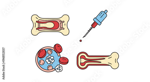 Bone Marrow Line art vector creative color pattern