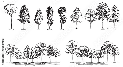 Seasonal Trees Vector Pack – Winter, Forest & Park CAD Illustration
