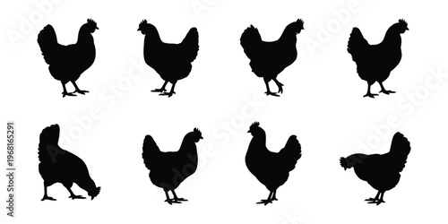 Hen Chicken Silhouette Icons Farm Poultry Bird Domestic Animal Rural Agriculture Vector Illustration Set Isolated Background