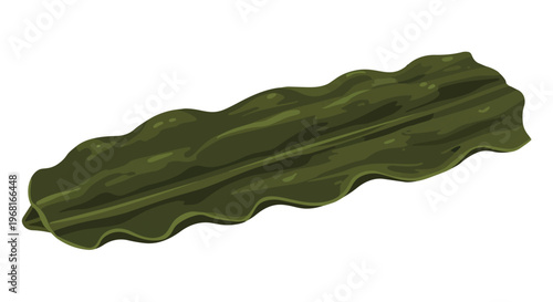 Vibrant illustration of a single dark green wavy seaweed strand presented on a pristine white background showcasing its unique aquatic texture and