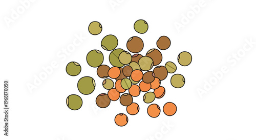 Vibrant illustration of diverse green, brown, and orange lentils representing healthy legumes.