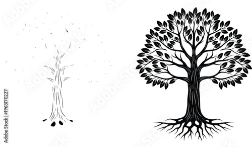Black tree silhouette with leaves and roots and a detailed sketch outline version vector illustration isolated on white background for nature environment design projects.