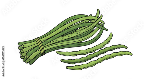 A vibrant collection of fresh moringa pods, showcasing a bounty of healthy green vegetables for culinary creativity and nutritious meal preparation