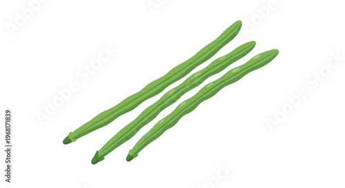 Vibrant green drumstick pods vector illustration, fresh healthy organic vegetable, culinary ingredient for nutritious meals, natural food source,