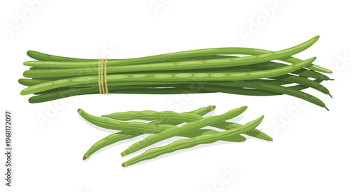 Freshly harvested green bean pods vector illustration, vibrant healthy legume depiction