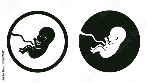 Human Embryo Illustration on White Background – Pregnancy, Medical Genetics, and Obstetrics Icon Representing IVF and Reproductive Health.