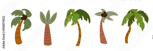 Collection of various tropical palm trees with coconuts. Minimalist island flora illustration set for travel, summer vacation, and beach designs.