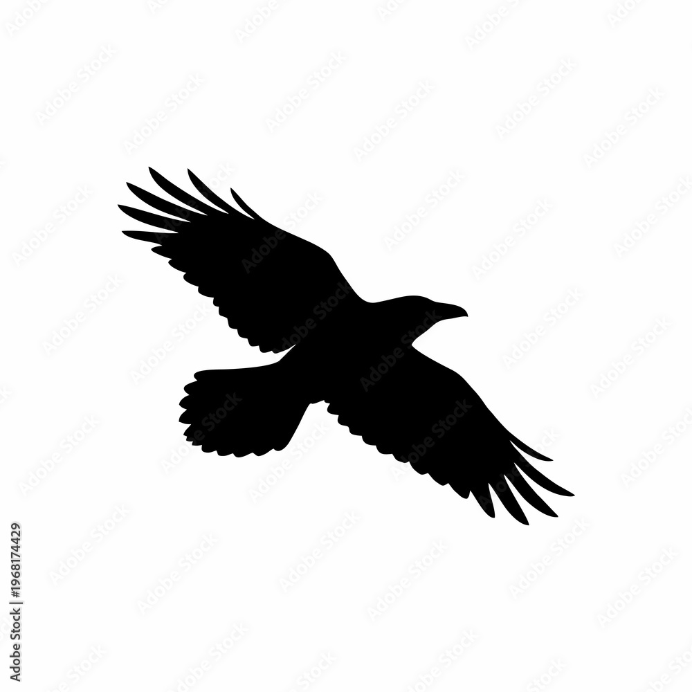 Fototapeta premium crow silhouette vector