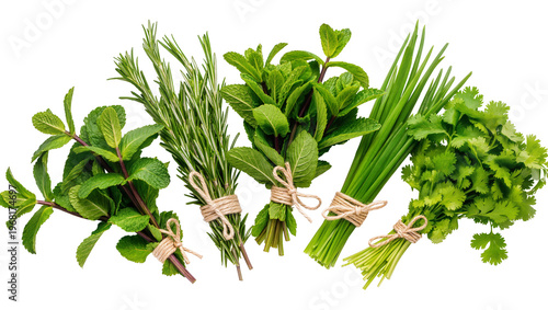 Fresh bundles of mint rosemary basil chives and cilantro tied with rustic twine, isolated on transparent background for culinary designs