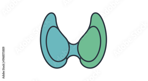 Stylized illustration of the human thyroid gland.