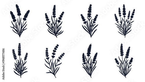 A collection of lavender sprigs with varying shapes and sizes is depicted in a dark striking silhouette high quality professional detailed