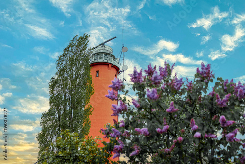 windmill and flowers