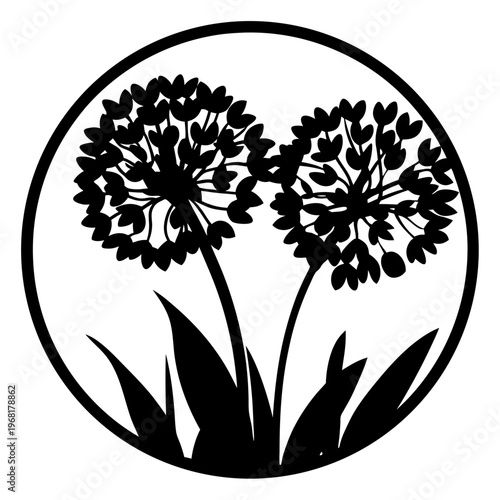 Minimalist allium flower silhouette vector, botanical round emblem with garden blossoms, black and white floral circle logo for branding
