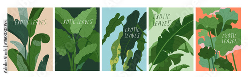 Exotic leaf plants, botanical cards set. Tropical leaves, foliage posters. Green vegetation, greenery, floral nature backgrounds with typography. Flora postcards. Flat vector illustrations