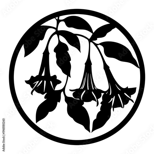 Vintage botanical silhouette of Brugmansia angel trumpet flowers, floral circle frame vector, black and white garden plant illustration
