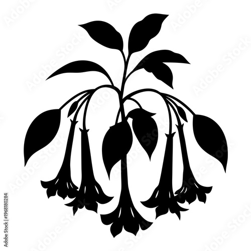 Vintage botanical silhouette of Brugmansia angel trumpet flowers, black floral vector illustration, elegant garden plant clip art for wedding stationery