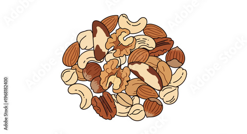 Wholesome nut mix illustration with almonds, cashews, walnuts, Brazil nuts, and hazelnuts. A natural, healthy food blend perfect for nutritious
