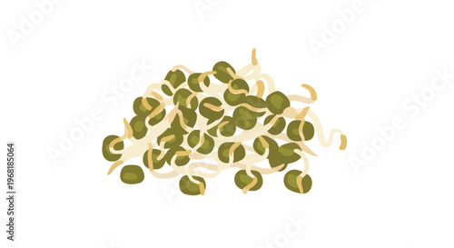 A vibrant illustration of freshly germinated mung bean sprouts a nutritious and wholesome ingredient for healthy culinary creations offering a