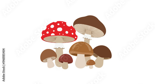 Vibrant Woodland Fungi Collection in Playful Cartoon Style with Diverse Mushroom Types and Sizes