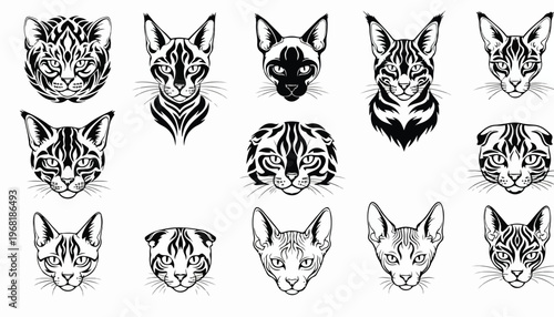 cat breeds tribal tattoo vector set, Persian Siamese Maine Coon British Shorthair Bengal Scottish Fold Ragdoll Sphynx Russian Blue, black tribal design, sharp lines, ethnic ornament
