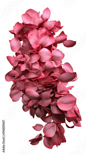 Delicate pink flower petals gracefully cascading in an abstract and organic form, perfect for romantic spring branding, wedding stationery, or feminine cosmetic packaging designs