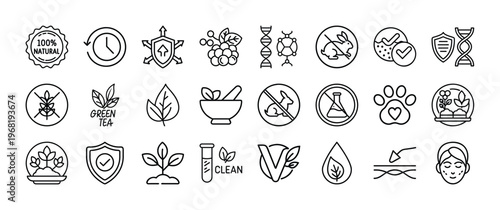 Collection of simple black line icons representing natural and eco friendly products