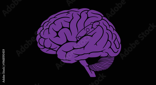 Illustration of a Purple Brain Against a Black Background Displaying Human Neurology