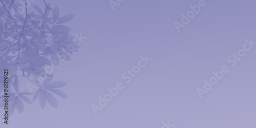 Delicate frost crystal formation on a glass surface