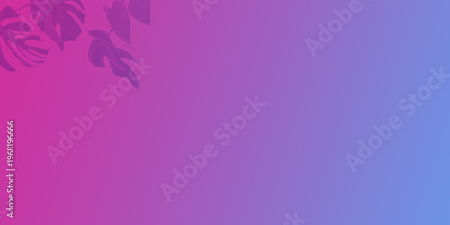 Abstract purple and pink fluid motion with soft gradients and dynamic curves