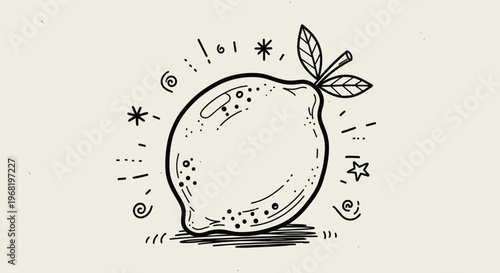 Hand drawn black and white lemon sketch with doodle elements perfect for refreshing food and beverage packaging and healthy lifestyle promotions
