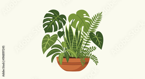 Vibrant and healthy collection of assorted tropical houseplants such as monstera, snake plant, and various ferns grouped in a single brown terracotta pot for interior green space decoration