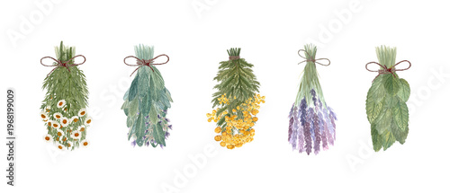 Set of dried herb bundles with chamomile, sage, blue tansy, lavender and mint. Hand painted botanical watercolor clipart of isolated herbs for labels, branding, natural design and herbal packaging