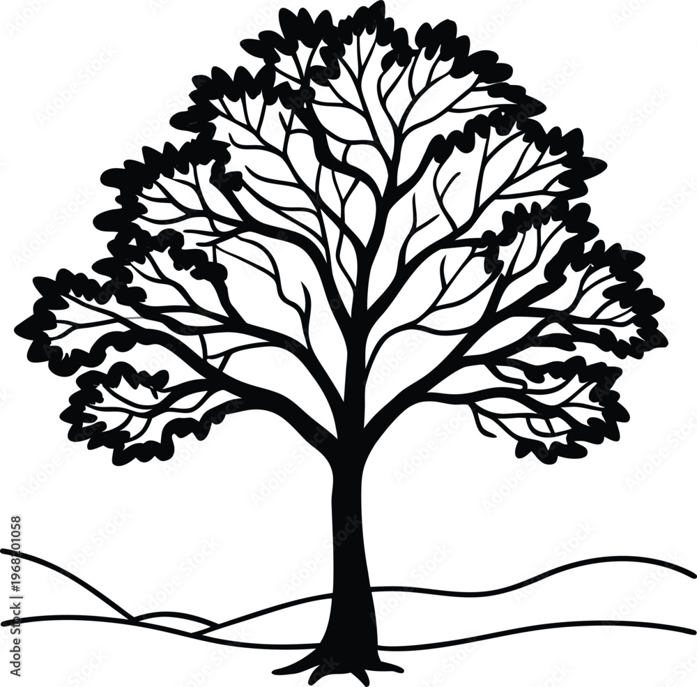 Obraz premium Black silhouette of a bare deciduous tree with intricate branches