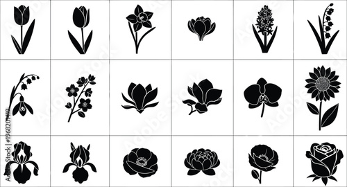 Collection of black and white floral silhouettes on white background flower