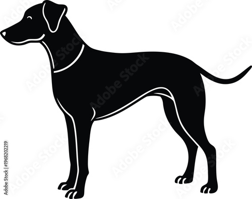 Black silhouette of a standing dog on white background