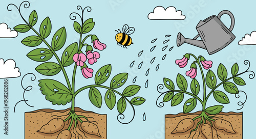 A cheerful bee flying near vibrant pea plants with pink flowers growing in rich soil while a watering can provides essential moisture, perfect for gardening blogs and educational materials.
