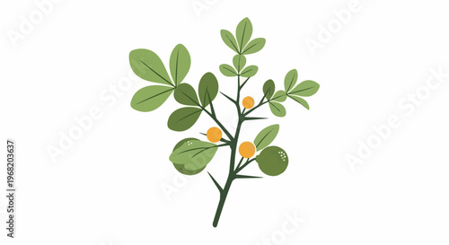Stylized illustration of a thorny citrus branch with green leaves and orange fruit