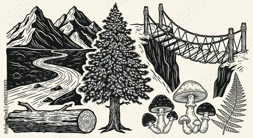 Depiction of outdoor wilderness with mountains, river, pine tree, rope bridge, fallen log, and mushrooms, useful for adventure and nature themed designs and product packaging.