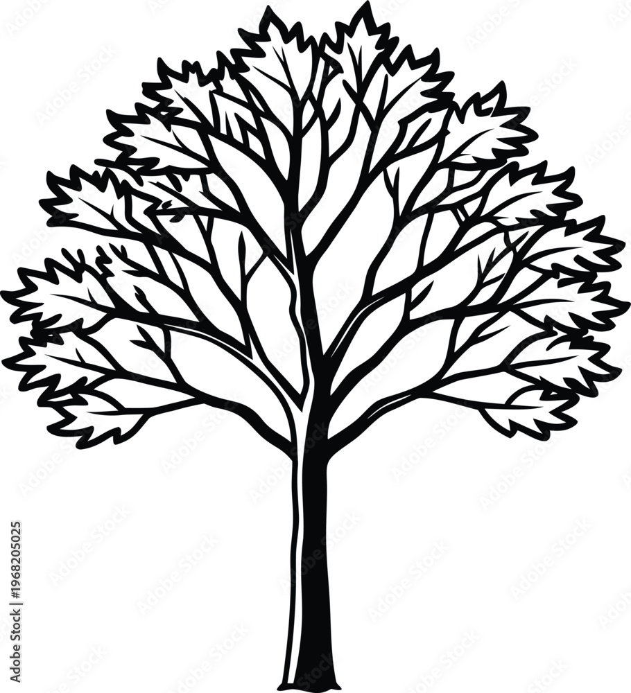 Obraz premium Detailed Black Silhouette of a Leafy Tree white illustration