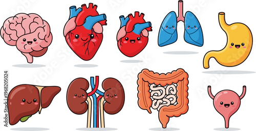 Cute cartoon human internal organs with happy faces, including brain, heart, lungs, stomach, liver, kidneys, intestines, and bladder.