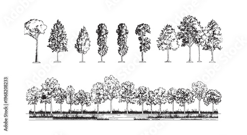Tree & Garden CAD Set – Nature, Forest & Landscape Vector Collection