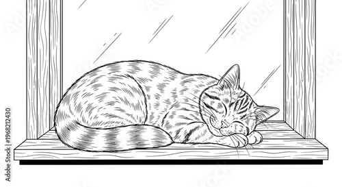 Sleeping Cat on Window Sill Alone.