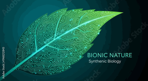 Synthetic biology bionic leaf concept.
