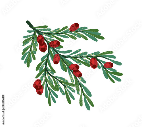 Pine branch with red holly berries. Christmas twig of mistletoe. Traditional Xmas decoration. Holy sprig with leaves. Winter holiday ornament. Flat isolated hand drawn vector illustration on white