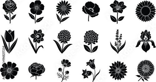 Collection of black silhouette flower on white background rose poppy daisy