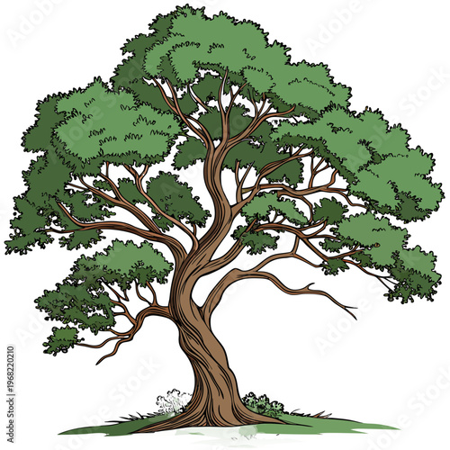 tree with green leaves